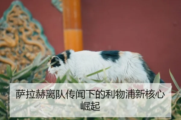sa-la-he-li-dui-chuan-wen-xia-de-li-wu-pu-xin-he-xin-jue-qi-2-771.jpg