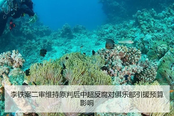 李铁案二审维持原判后中超反腐对俱乐部引援预算影响